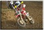 334 - Thomas Bettin - BIBIONE 2 - MX1 OVER